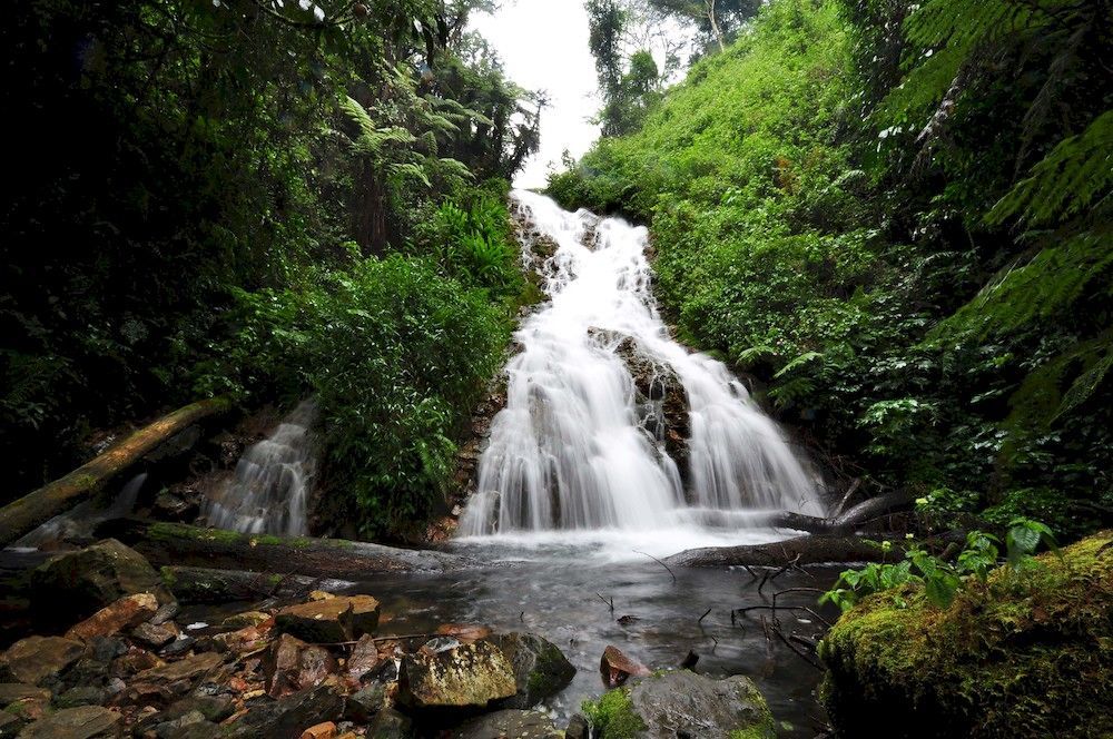 Sanctuary Gorilla Forest Camp Otel Ntungamo  Dış mekan fotoğraf