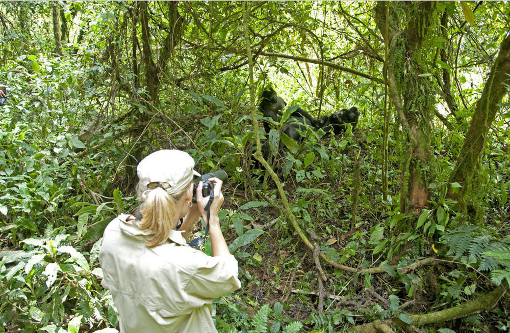 Sanctuary Gorilla Forest Camp Otel Ntungamo  Dış mekan fotoğraf